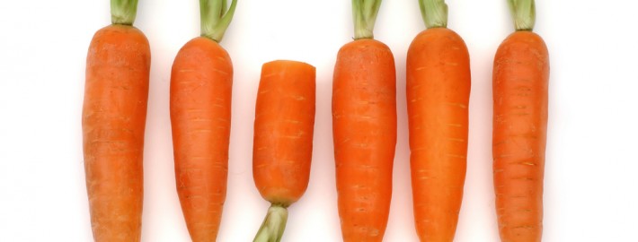 Progettazione e vendita attrezzature e arredamenti ortofrutta supermarket Sardegna
